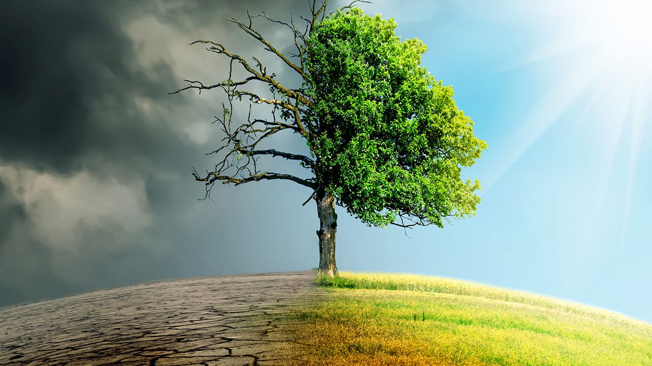 Climate change - top 5 myths
