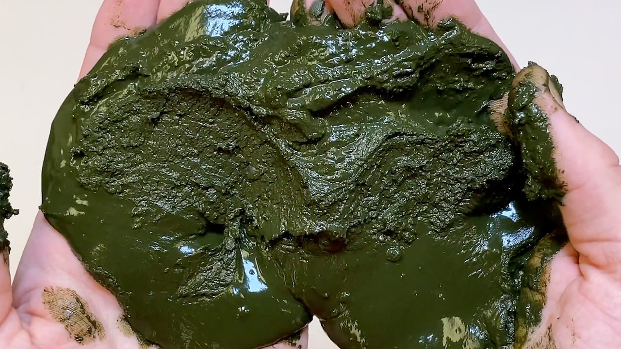 Why Algae May Be the Plastic of the Future