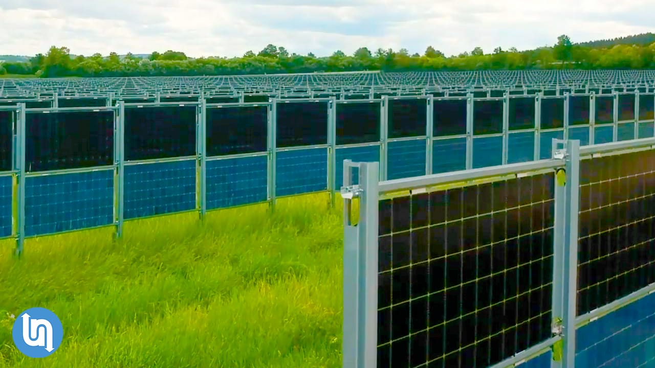 A field of vertical bifacial solar panels