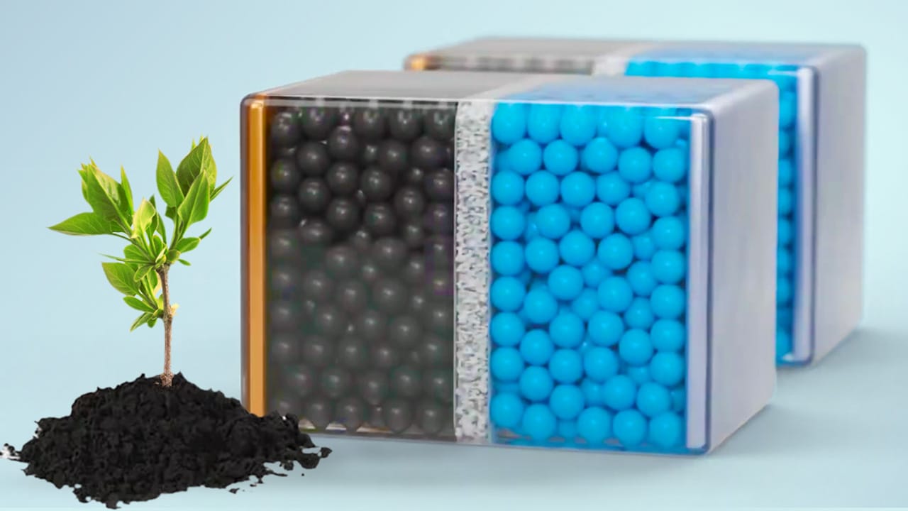 Sapling and Battery Membranes for a Lignin Battery