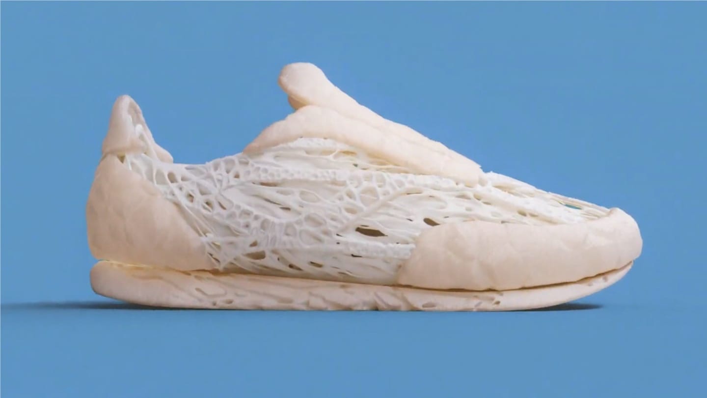 A Mycelium Shoe