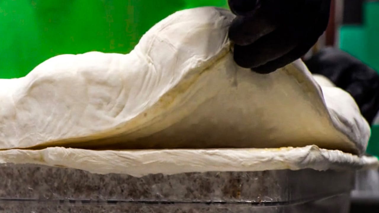 Is Fungus the Plastic of the Future?