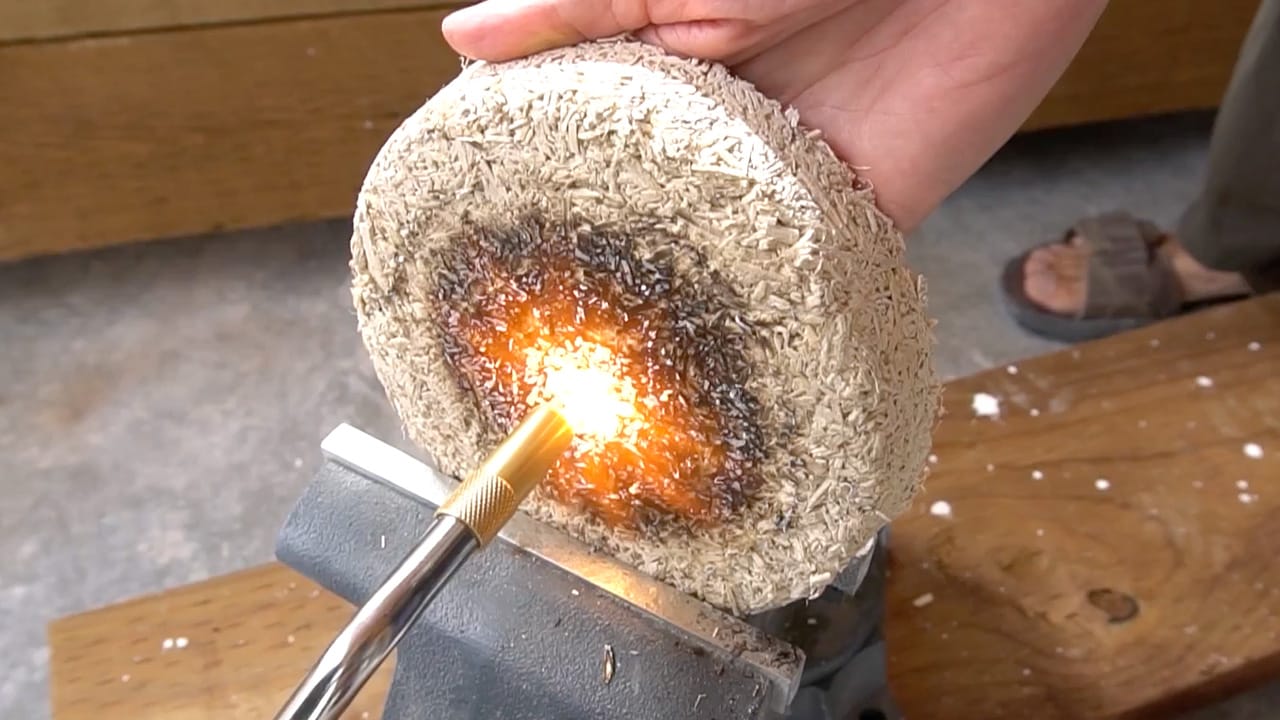 Exploring How This Plant Could Replace Concrete