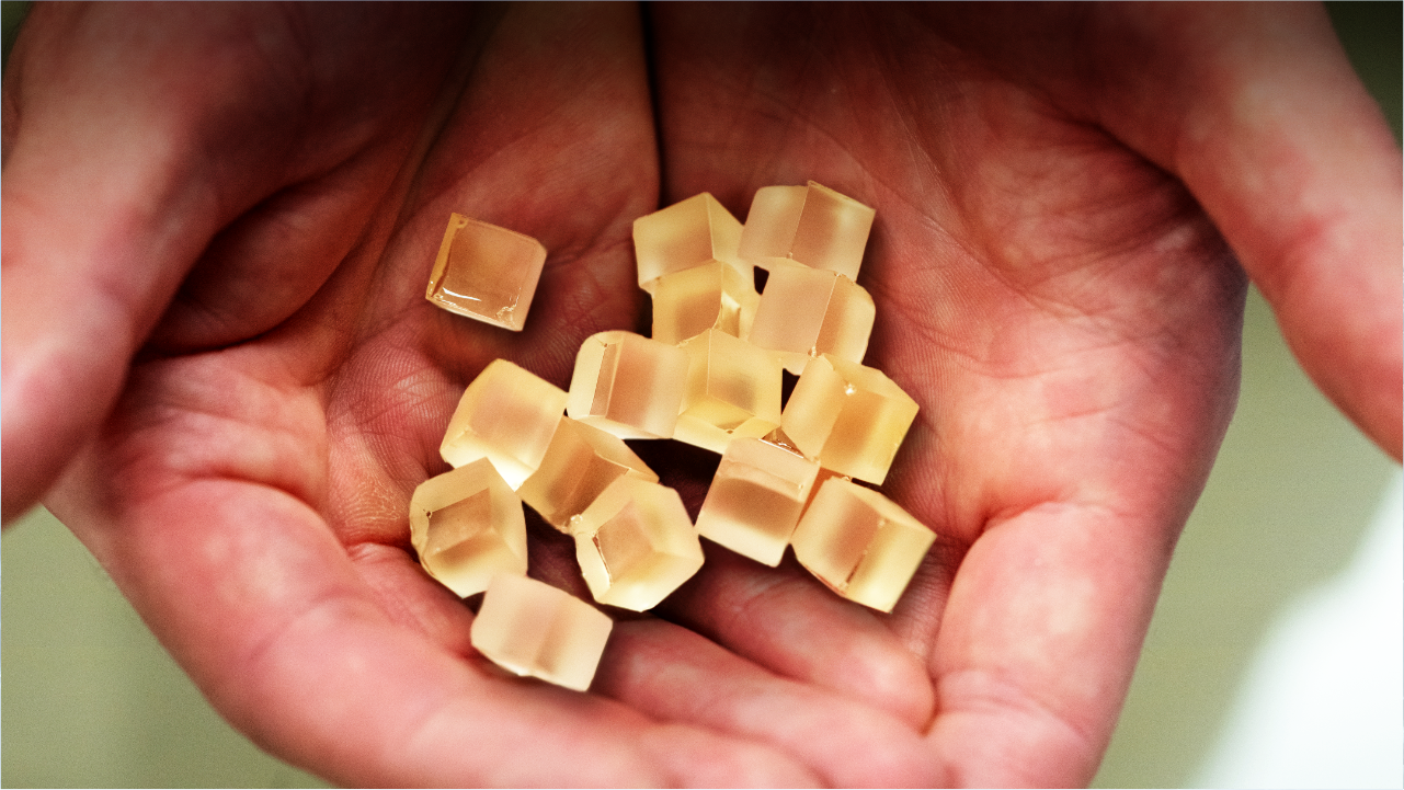 A pair of hands holding some PECAN cubes
